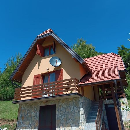 Vila Mitrovic Bajina Basta Bagian luar foto