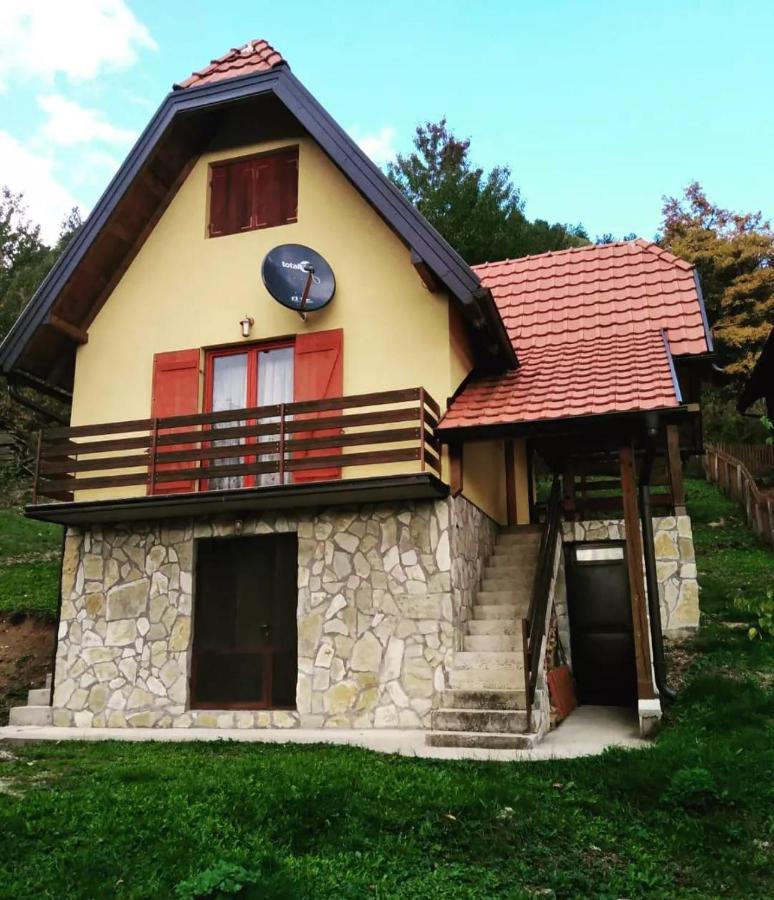 Vila Mitrovic Bajina Basta Bagian luar foto