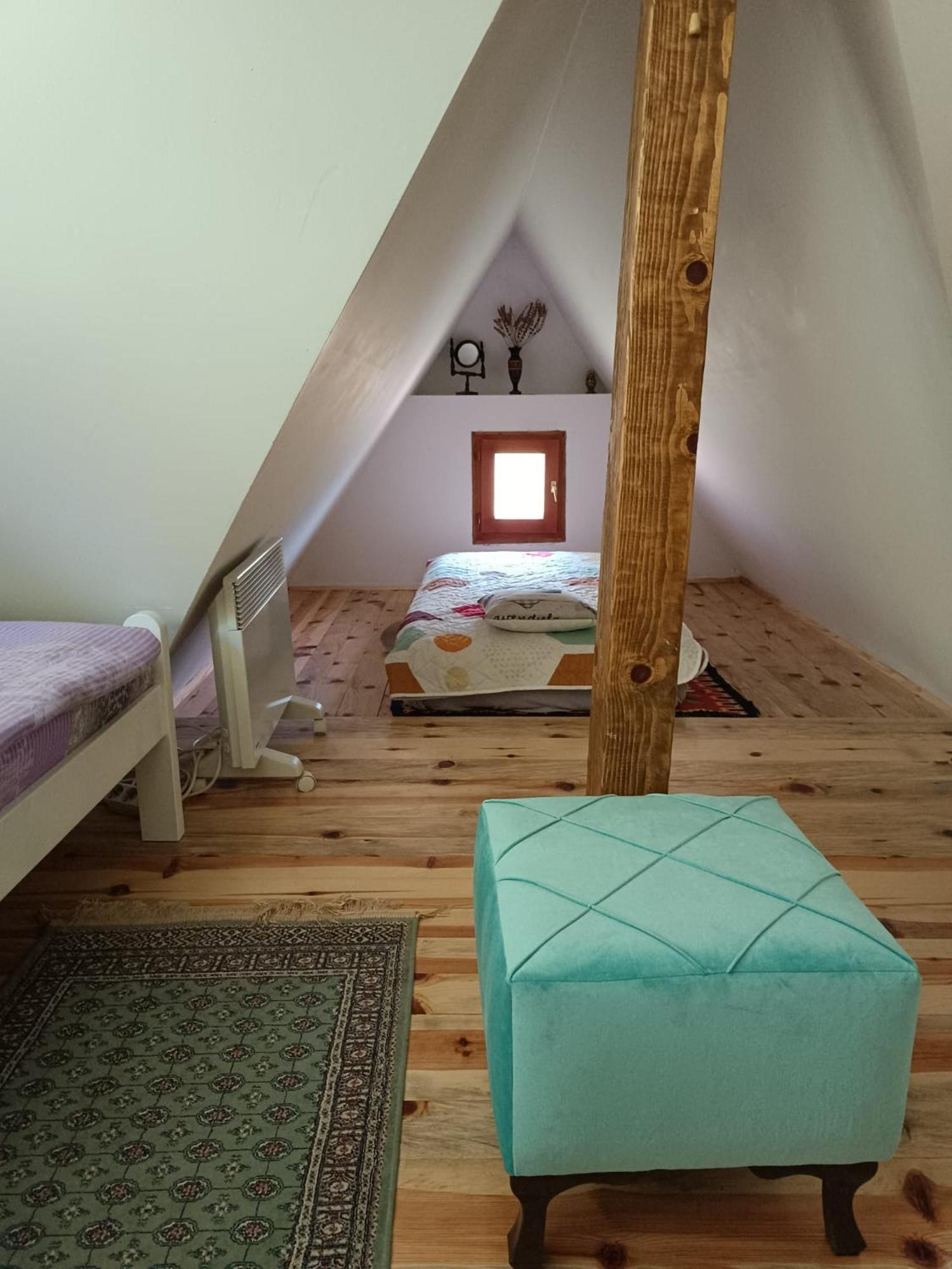 Vila Mitrovic Bajina Basta Bagian luar foto